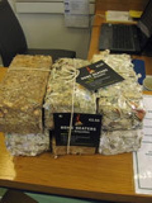 eco briquettes at Small Changes in Drumcondra