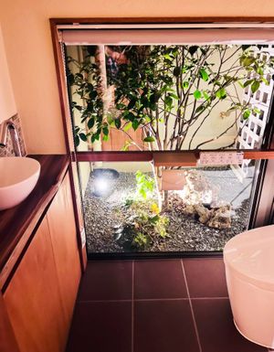 Toilet at VegiLicious in Kouri