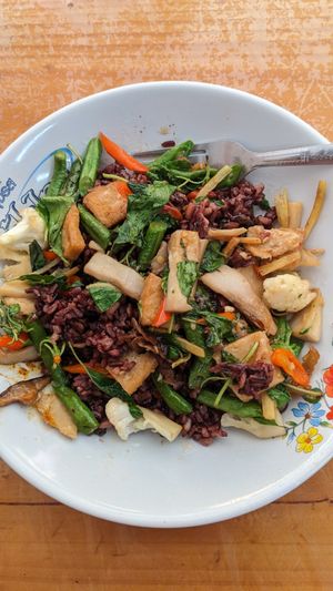 Jedes Gericht kostet bis zu 50 Baht at Oasis Vegetaurant in Chiang Rai