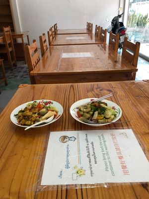 65b each: 3 choices of dishes plus steamed rice  at Oasis Vegetaurant in Chiang Rai