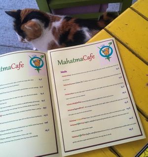   at Mahatma Cafe in Istanbul