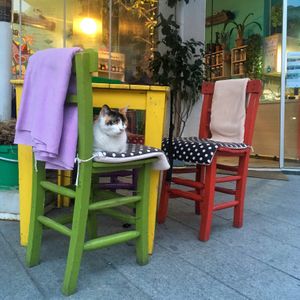   at Mahatma Cafe in Istanbul