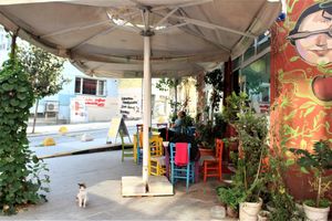 Outside, with kedi. at Mahatma Cafe in Istanbul