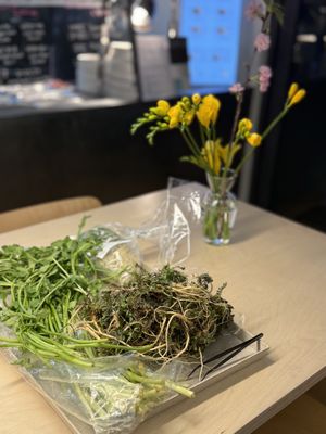 They were prepared Korean Namools (herb, green, field or mountain leaves) between winger and early in the spring   at epikore - 에피코어 in Seoul