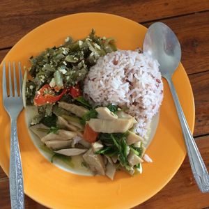 rice with two choices = 35 baht! at Porwin Vegetarian in Chiang Rai