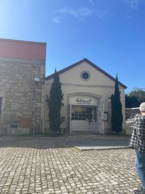   at Hibiscus in Braga