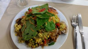 seitan with onion, curry with tofu, salad at Hibiscus in Braga