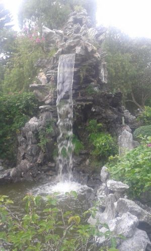 Gardens 1 at Wun Chuen Vegetarian Centre in New Territories