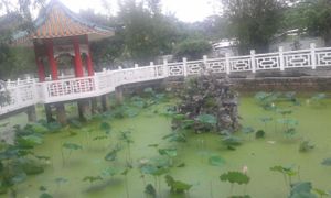 Gardens 3 at Wun Chuen Vegetarian Centre in New Territories