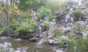 Gardens 4 at Wun Chuen Vegetarian Centre in New Territories