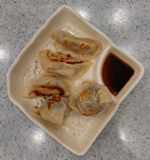 Pan fried veggie dumplings 鴛鴦煎素餃子 at Soo Good Luen Wo 好素聯和 in New Territories