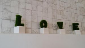 Deco at Louvre Veggie in Butterworth