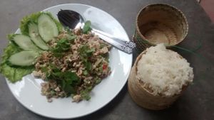 La(r)b Tofu And Mushroom at Same Same Restaurant and Guesthouse in Luang Prabang