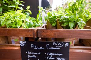  at Herbolari l'Espi­gol in Barcelona