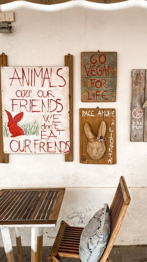 lovely place, nice details at Baobab in Fuerteventura