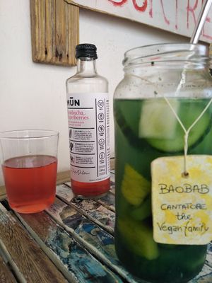  at Baobab in Fuerteventura