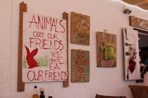 art at Baobab in Fuerteventura