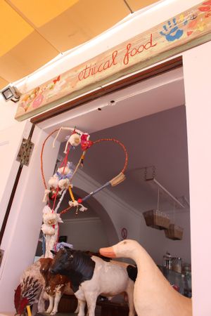 art at Baobab in Fuerteventura