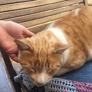lovely atmosphere  at Baobab in Fuerteventura