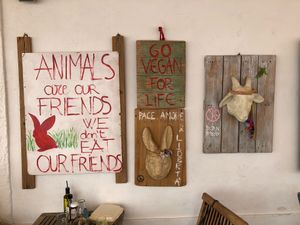 Restaurant  at Baobab in Fuerteventura