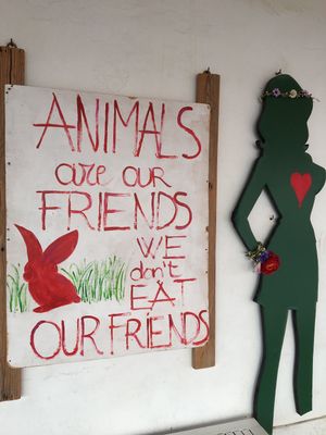 Animals are our Friends... at Baobab in Fuerteventura