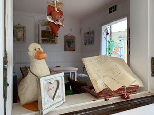 Baobab  at Baobab in Fuerteventura