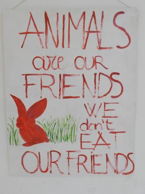 baobab juice bar casa vegetariana at Baobab in Fuerteventura