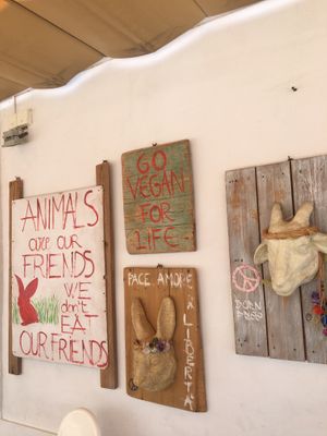 Go vegan at Baobab in Fuerteventura