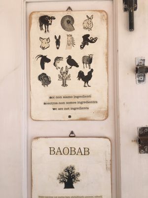 We are not ingredients at Baobab in Fuerteventura