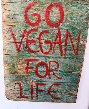 Vegan art  at Baobab in Fuerteventura