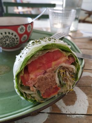 Roll Mediterraneo at Baobab in Fuerteventura