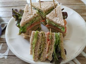 Vegan club sandwich at Baobab in Fuerteventura