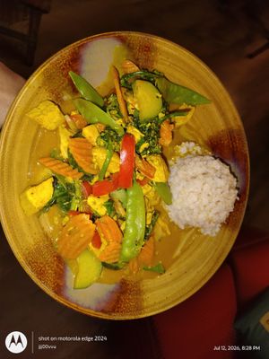 Vegan Curry Vegetables with Tofu and Brown Rice! (Also Jasmin White Rice available) at Wise Eatz in Asheville