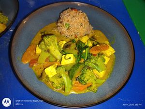 Vegan Curry Vegetables with Tofu with Brown Mediterranean Rice! at Wise Eatz in Asheville