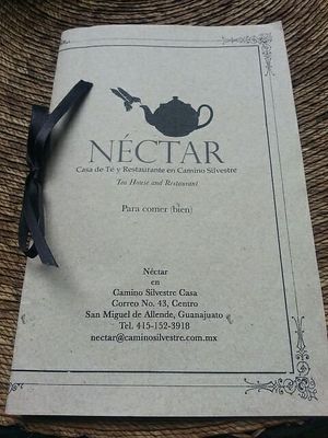  at Néctar en Camino Silvestre in San Miguel De Allende