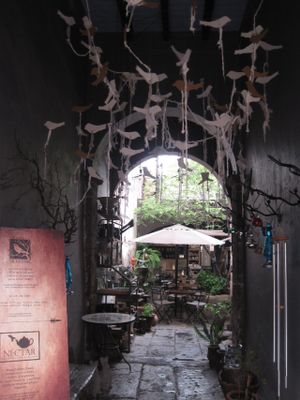 You enter the courtyard through passageway under a remarkable paper mobile of flying birds. at Néctar en Camino Silvestre in San Miguel De Allende