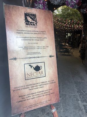 General description  at Néctar en Camino Silvestre in San Miguel De Allende