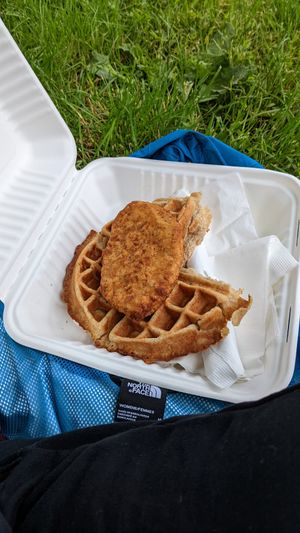 Chicken n waffle - they forgot my syrup at The Wayward Vegan in Seattle