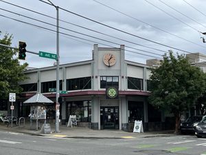   at The Wayward Vegan in Seattle