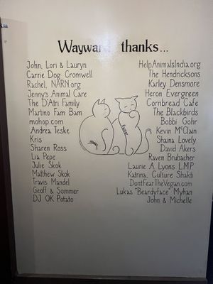   at The Wayward Vegan in Seattle