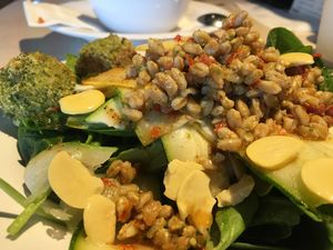 Love Med Salad at Zoës Kitchen in Peachtree City