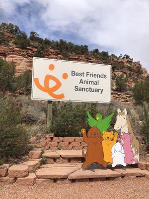   at Angel Village Cafe in Kanab