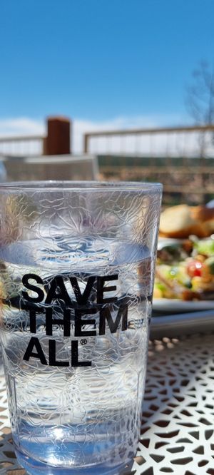  at Angel Village Cafe in Kanab