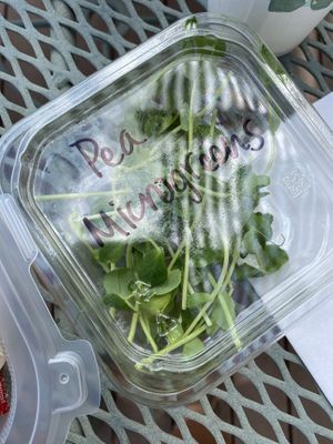 Micro greens at Angel Village Cafe in Kanab