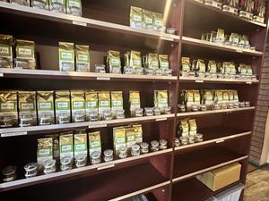   at Zenhouse in West Hindmarsh