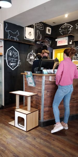  at Happy Cat Cafe - Chat l'heureux in Montreal