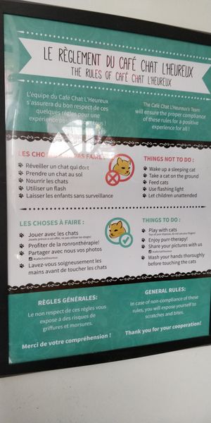  at Happy Cat Cafe - Chat l'heureux in Montreal