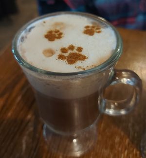  at Happy Cat Cafe - Chat l'heureux in Montreal