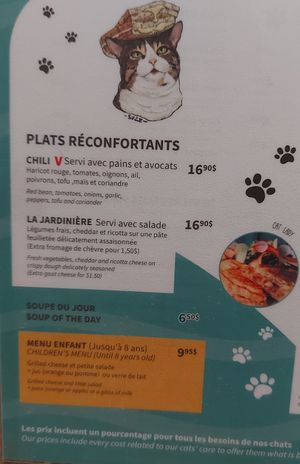  at Happy Cat Cafe - Chat l'heureux in Montreal