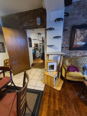 Lots of sitting room at Happy Cat Cafe - Chat l'heureux in Montreal